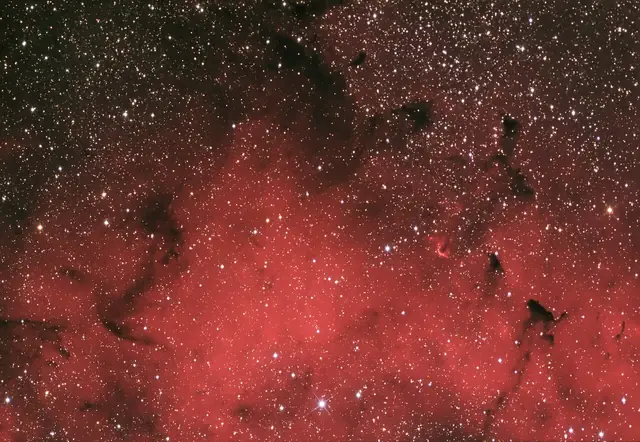 IC 1396 (Elephant's Trunk Nebula), photographed