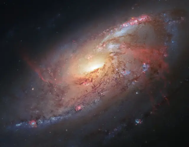 Galaxy M106, photographed