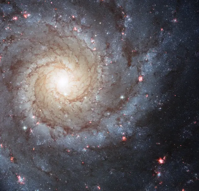 M74 (Phantom Galaxy), photographed