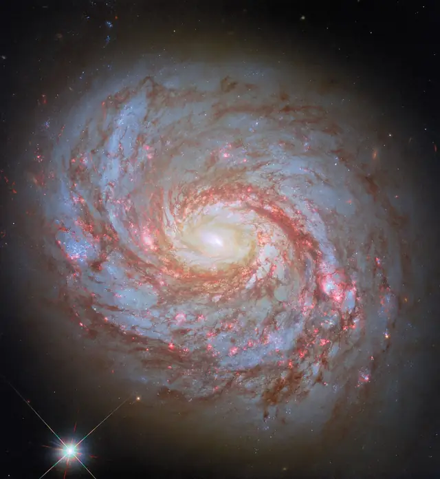M77 (Cetus A), photographed