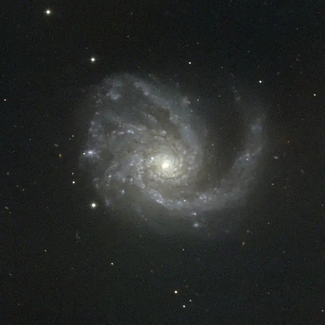 Coma Pinwheel (M99), photographed