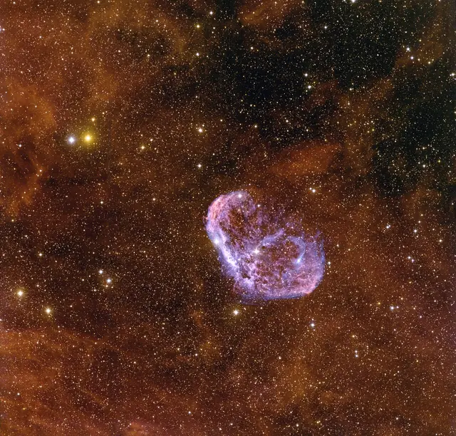 Crescent Nebula (NGC 6888), photographed
