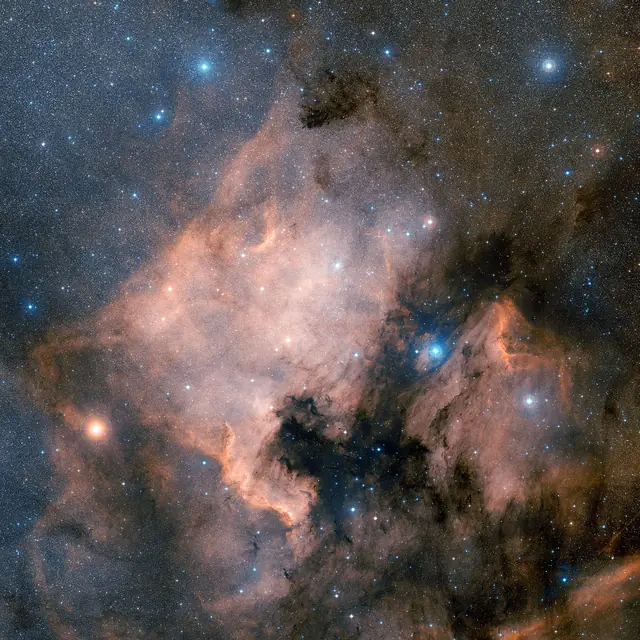 North America Nebula (NGC 7000), photographed
