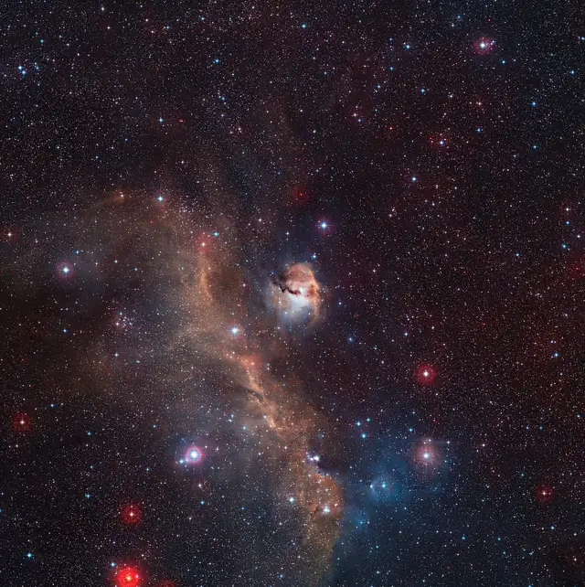 Seagull Nebula (IC 2177), photographed